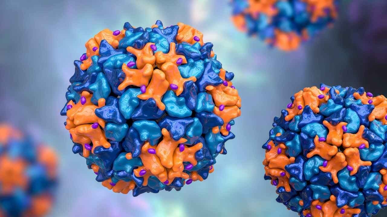 Polio Virus: Detection of virus after 30 years in Germany