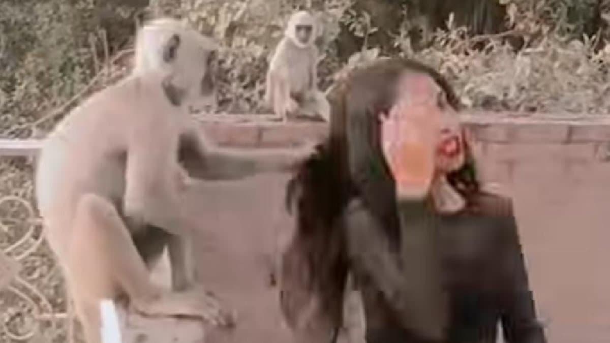 monkey  did not want to dance with the girl  viral video