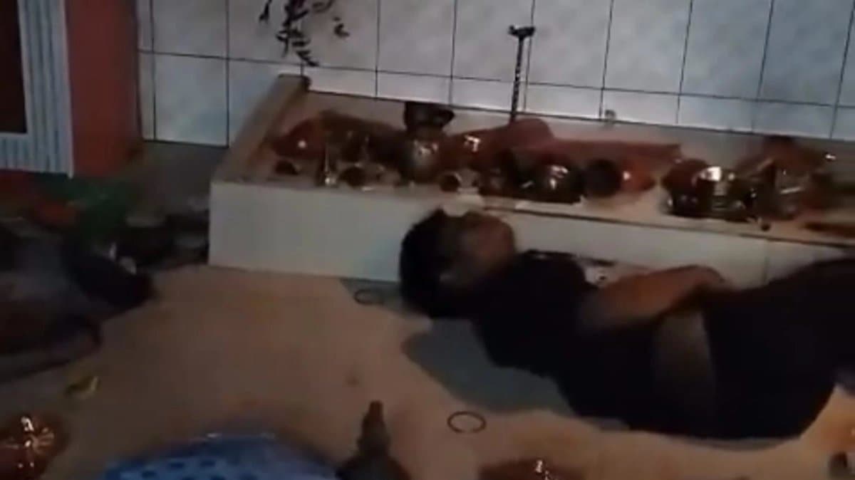 Drunk Thief Falls Asleep Mid Heist In Jharkhand Temple