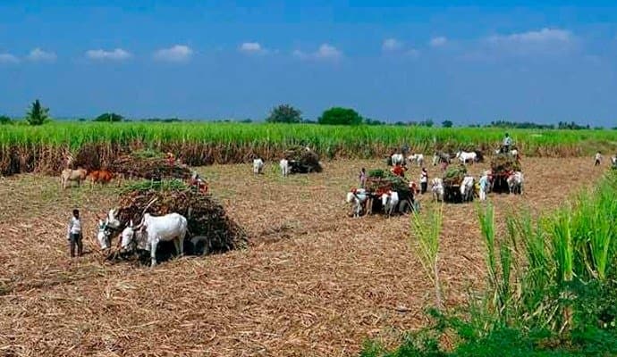 Bank Accounts Not Linked To Aadhaar: Minister