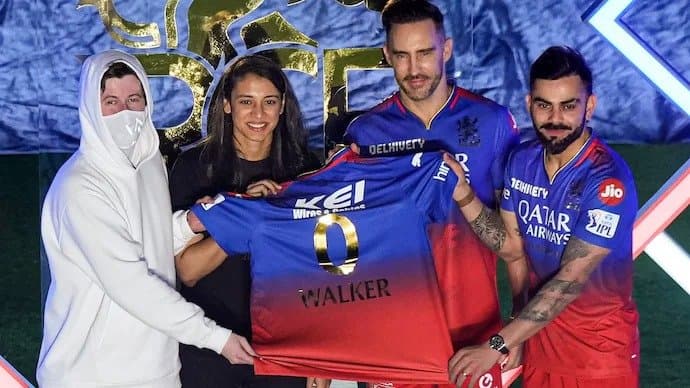 DJ Alan Walker surprises fans with RCB anthem during Bengaluru concert