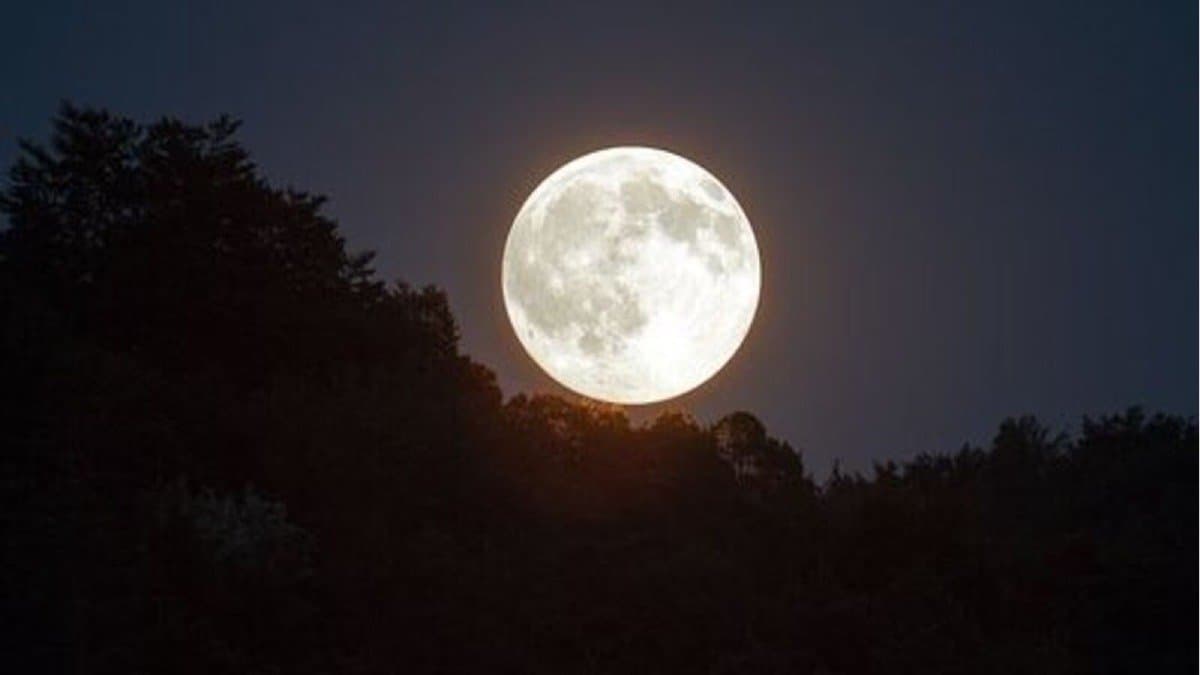 Maghi Purnima 2025 four zodiac signs will get good luck by rare yog on this auspicious day lif