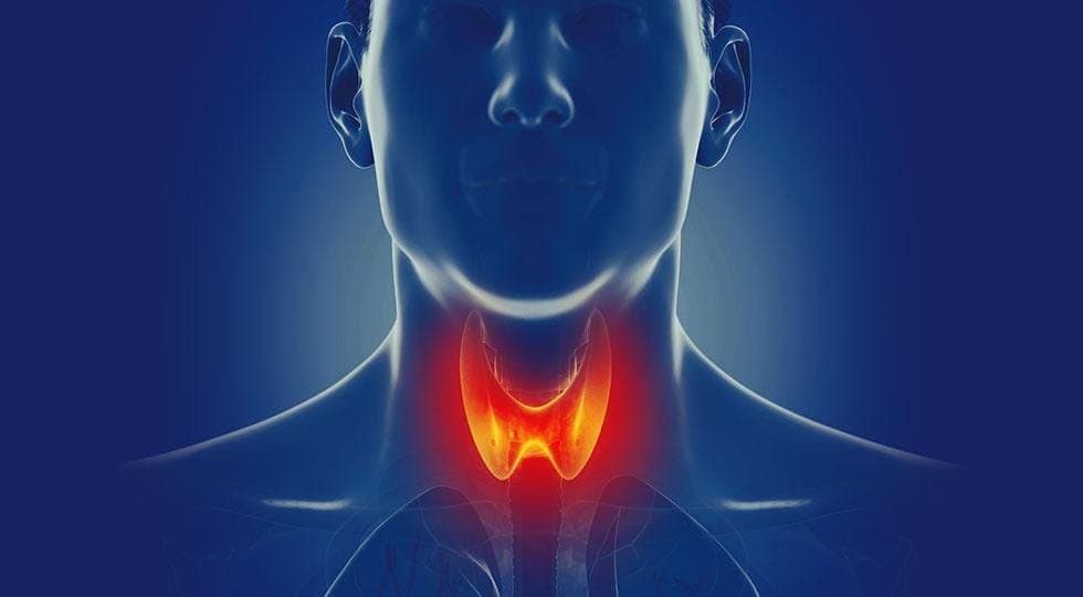 Thyroid support nutrients for daily diet!