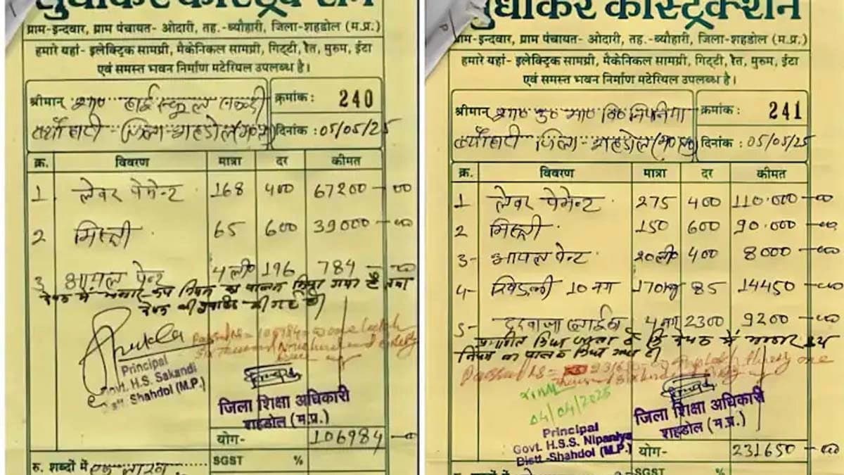  one wall four litres of paint 233 people Madhya Pradesh schools math miracle