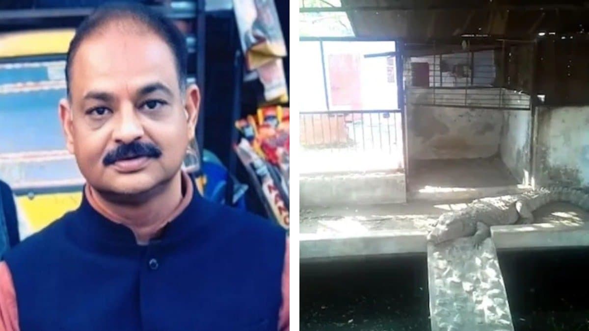 Income tax officers found 3 crocodiles during the raid at former BJP MLA's house in Madhya Pradesh gnr