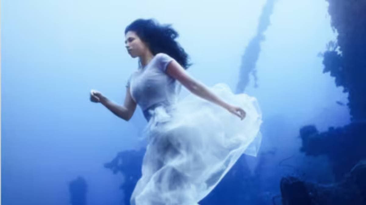 canadian photographer sets guinness world record for underwater photoshoot_gnr