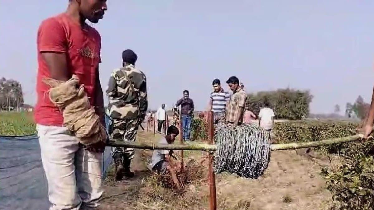 Villagers of coochbehar formed fencing with bsf assistance on indo bangla border to save their paddies gnr