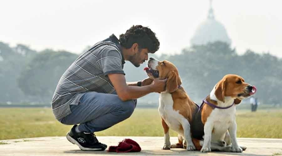 Pet Parent guilt is real, 5 ways to overcome it!