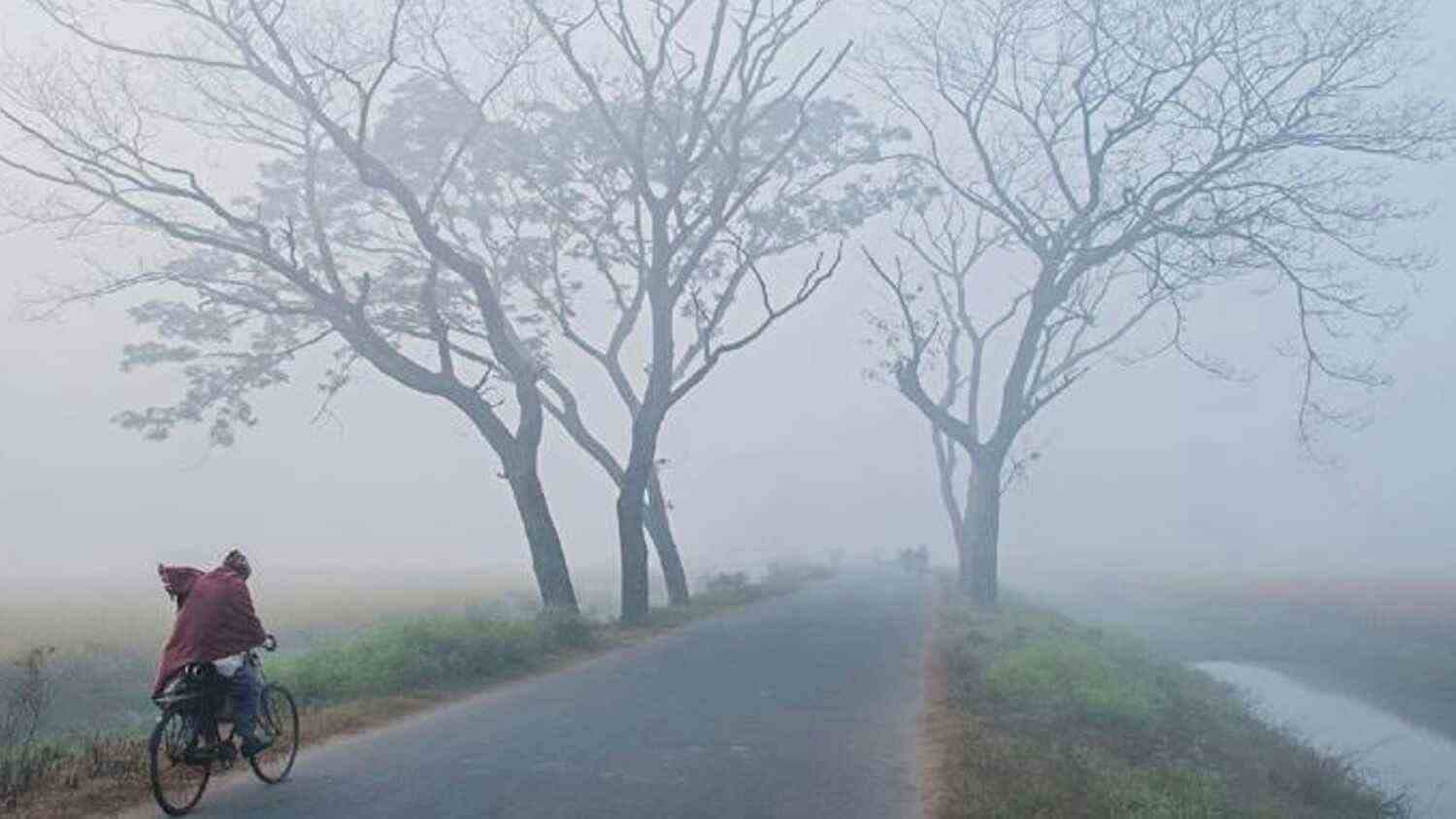 IMD Weather Update Dense fog alert in several states, rainfall Forecast in North Bengal gnr