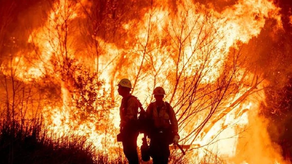  16 Dead In Los Angeles Blaze, Officials Warn Wildfires To Grow gnr