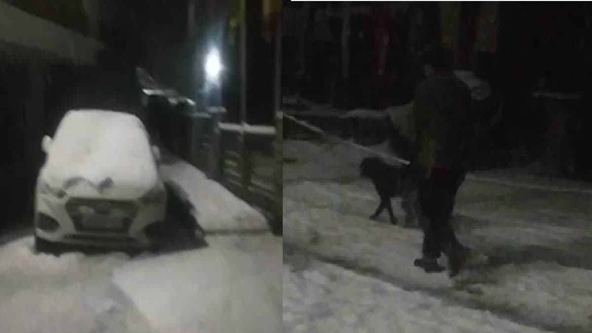 snowfall in new year make sikkim tourists elated