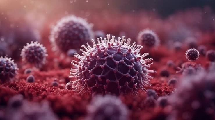  151 contacts isolated of a man who died in kerala because of nipah virus 