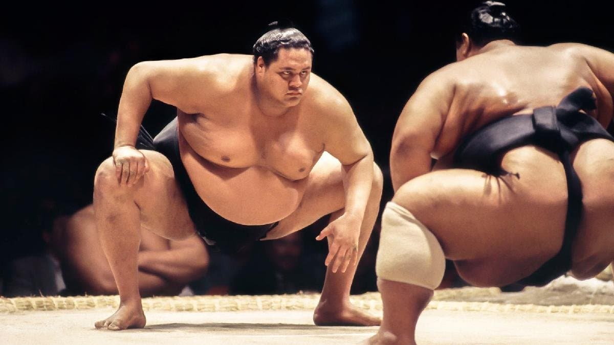 Chanko nabe is the favourite food of the Japanese Sumo wrestlers