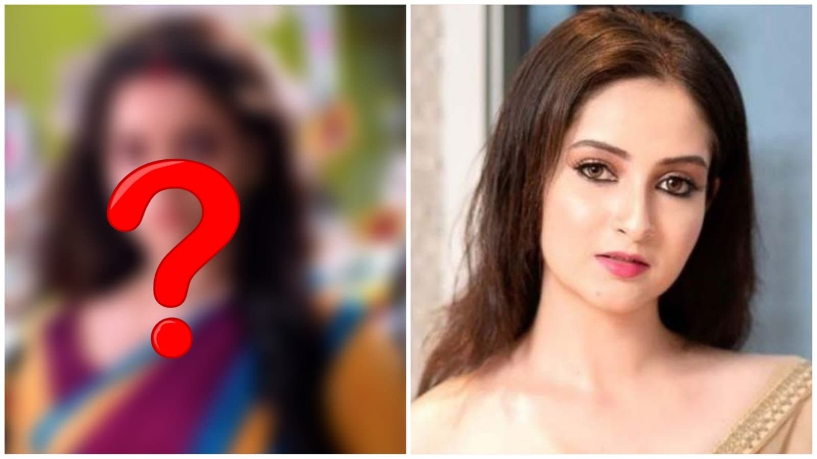 bengali actress shreema bhattacharya is left sun bangla serial basu paribar and sampurna mondal is playing that role ent