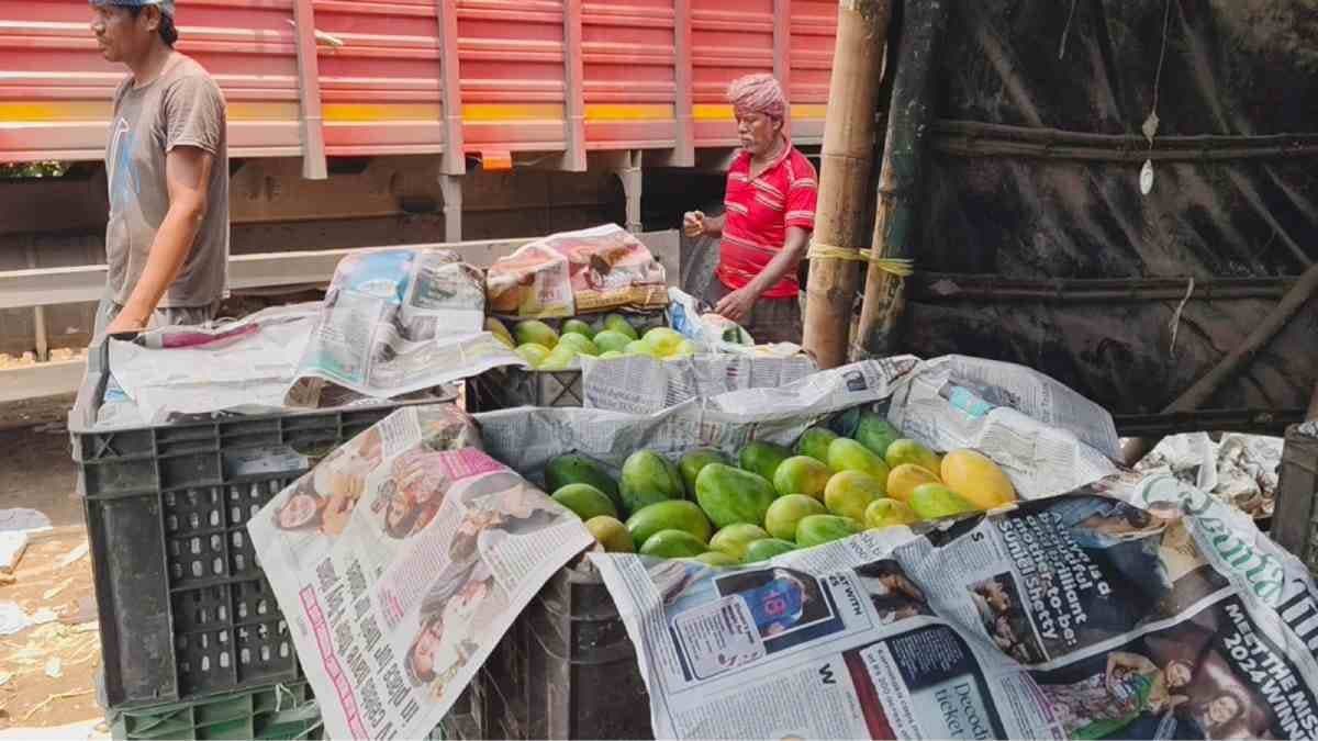 Mangoes from hooghly to be exported in different parts on india