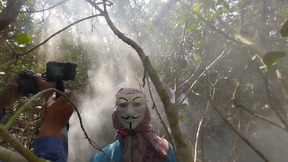 Honey collection work started in Sunderban forest