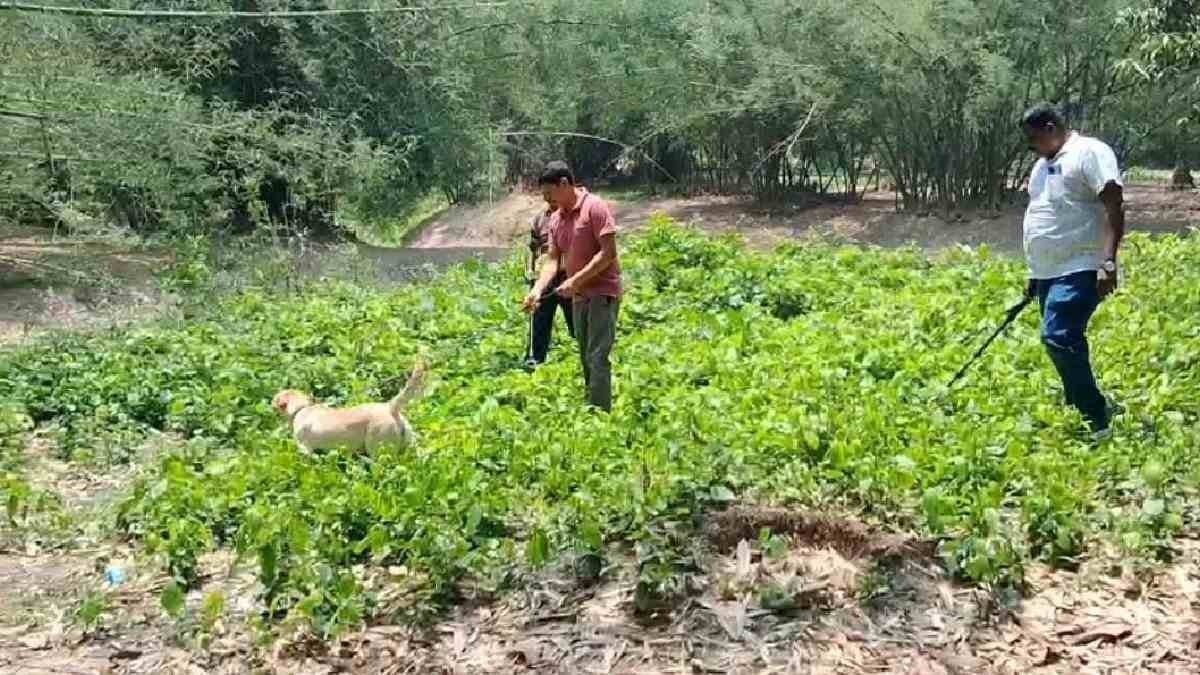 Bombs recovered from different area of Samserganj