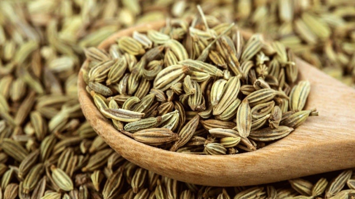 Fennel seed has many health benefits 