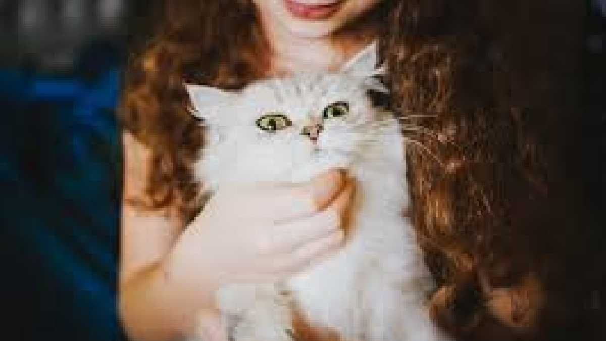 Humans may be passing bird flu to cats gnr