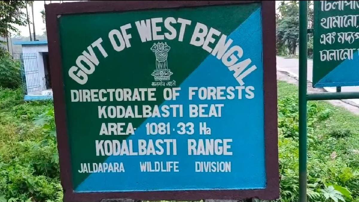 Grandmother and Granddaughter Died in Sudden Rhino Attack While Fishing in River