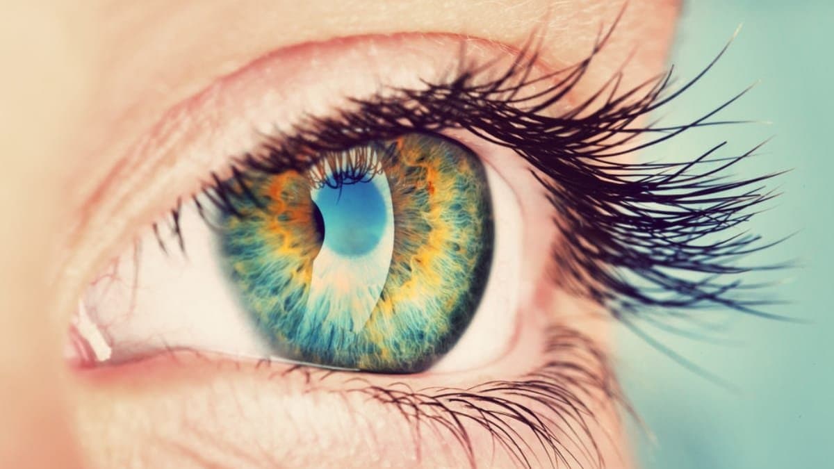  this home made natural smoothie can improve your eye health and make strong vision also prevents cataract problem lif 