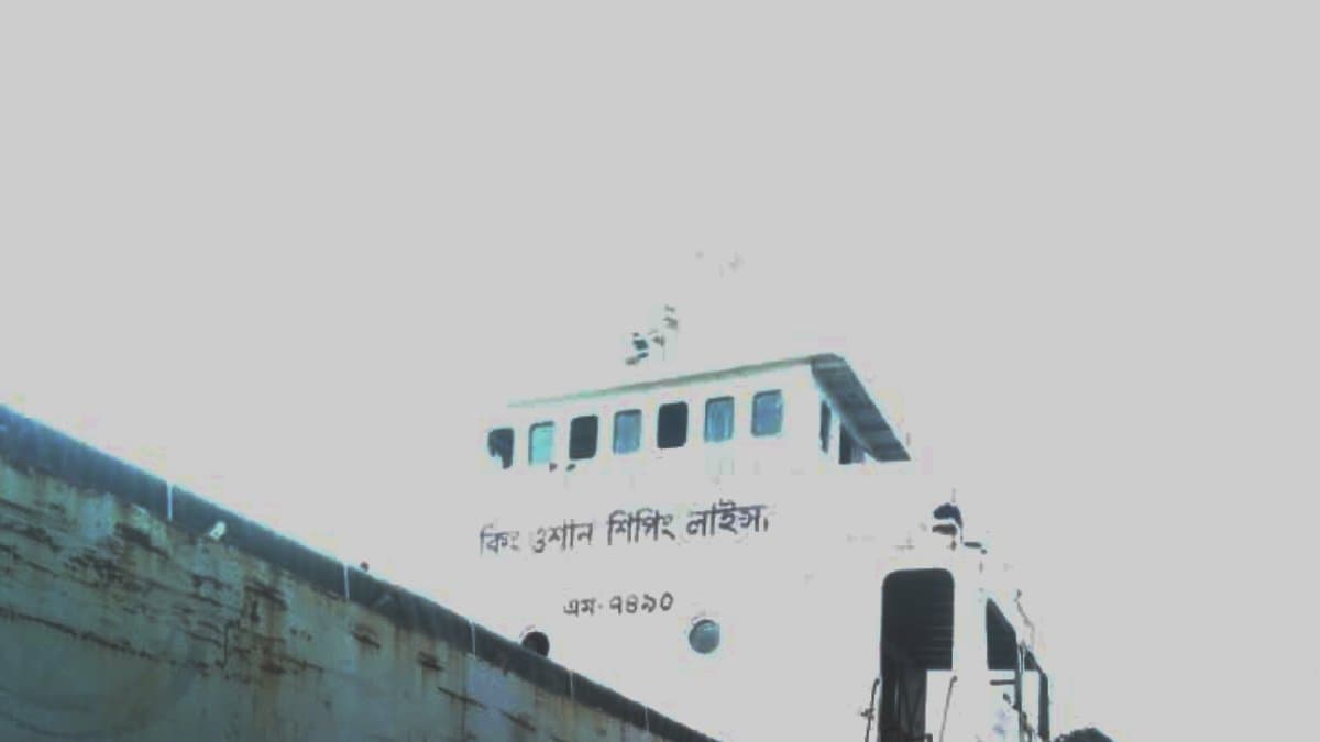  12 Bangladeshis rescued from Ghoramara, Sagar