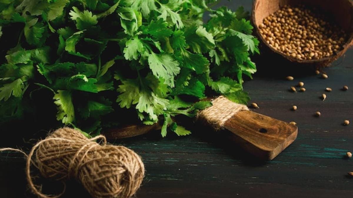  this home made chatni made with cilantro and other many healthy things can boost your immune system and make you healthy lif