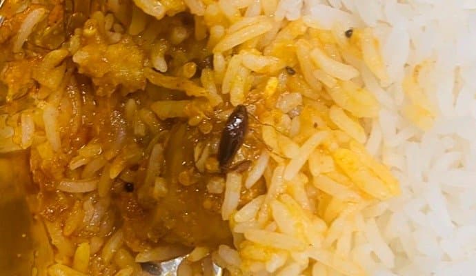 Cockroach Found In Meal Served On Vande Bharat Train, Railways Responds