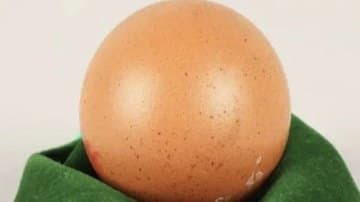 UK Auction, Perfectly Spherical Once in a billion Egg Fetches Rs 21,000 gnr 