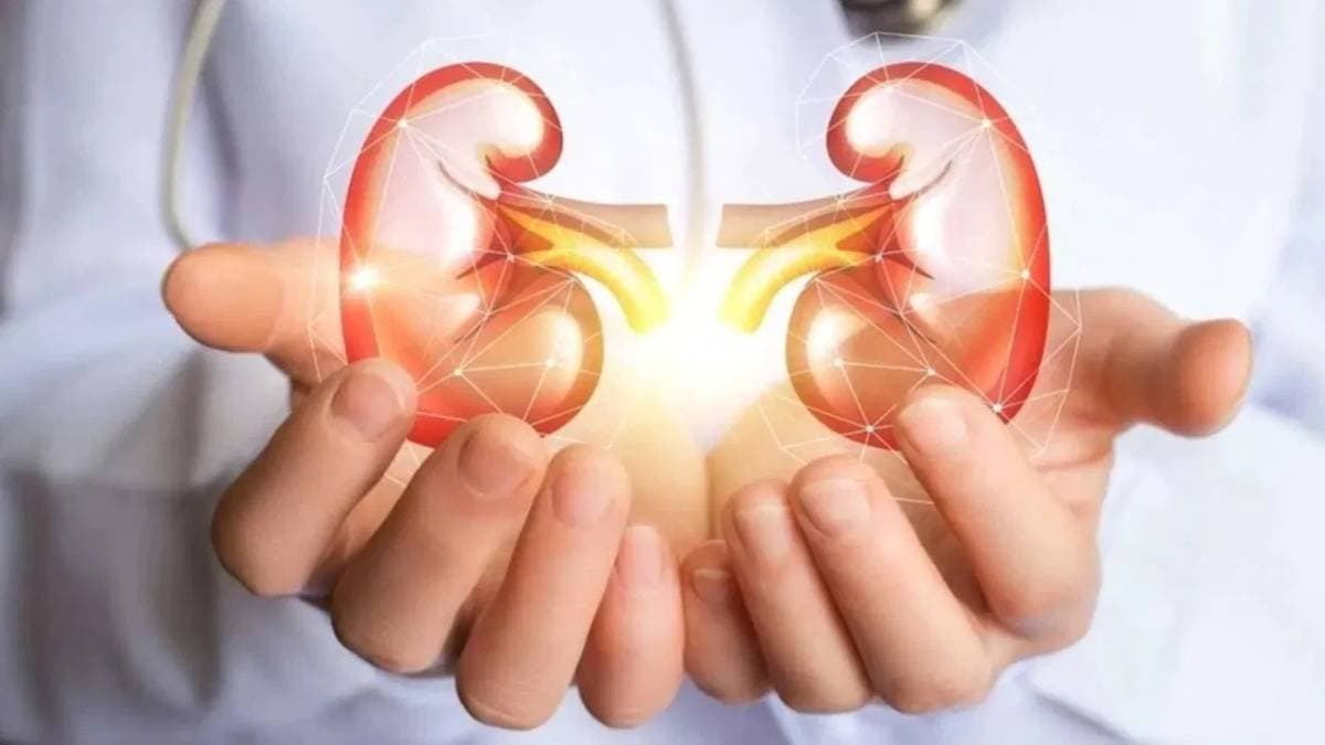 know these Foods which can silently ruin your Kidneys