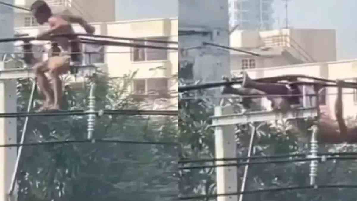  Man Does Pull-Ups On Electric Wires,viral video