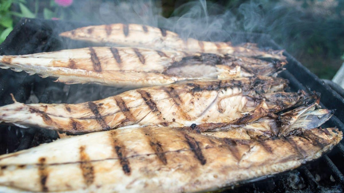 woman discovers fish with human-like teeth then what happened gnr 