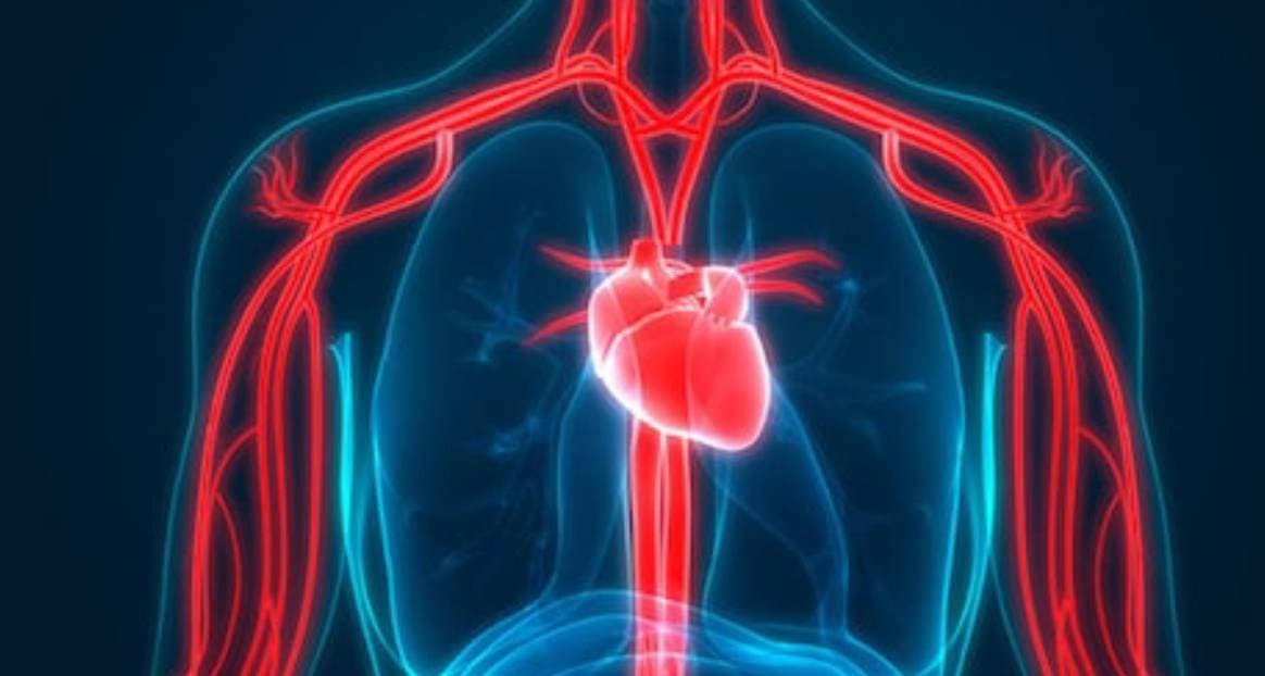 How to get rid of high cholesterol know the tips