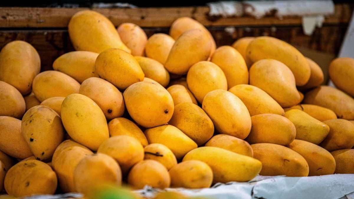 Carbide Chemical in Mango can damage kidney liver and cause cancer