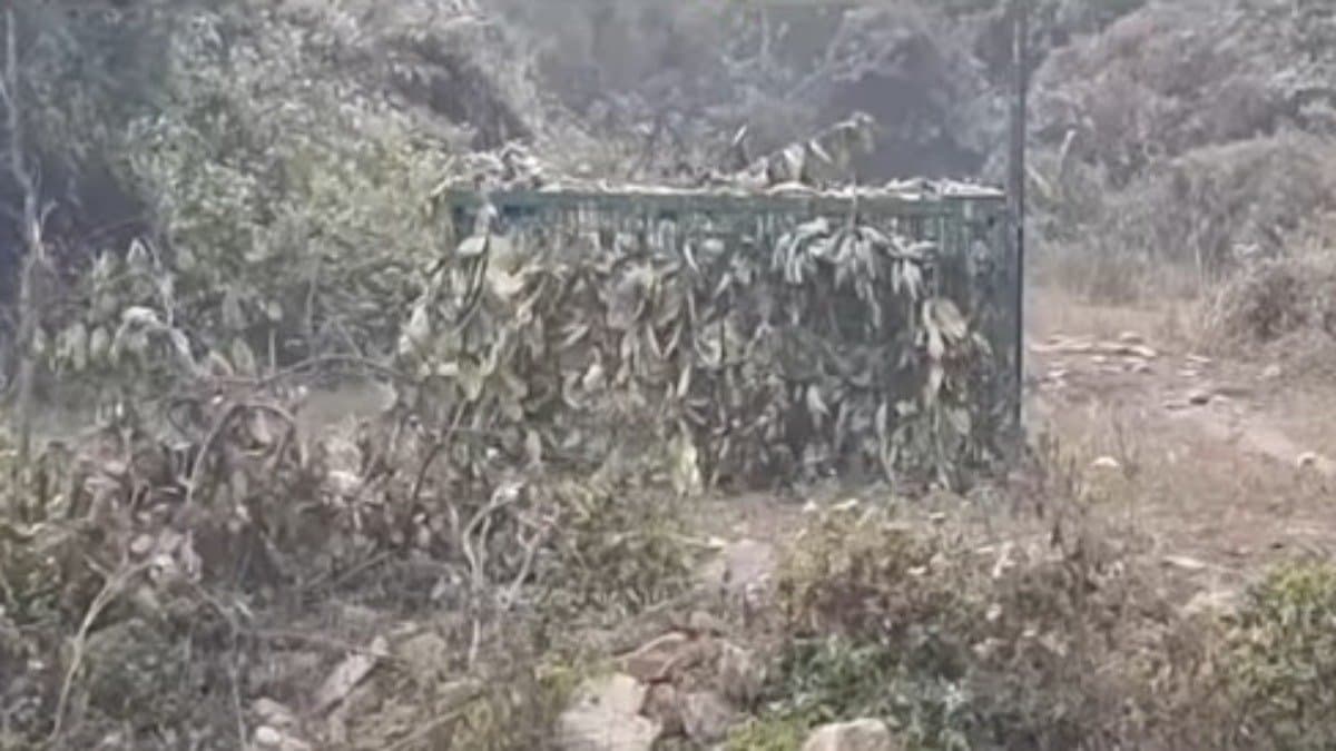 Fear of tiger in Purulia's Banduan area gnr