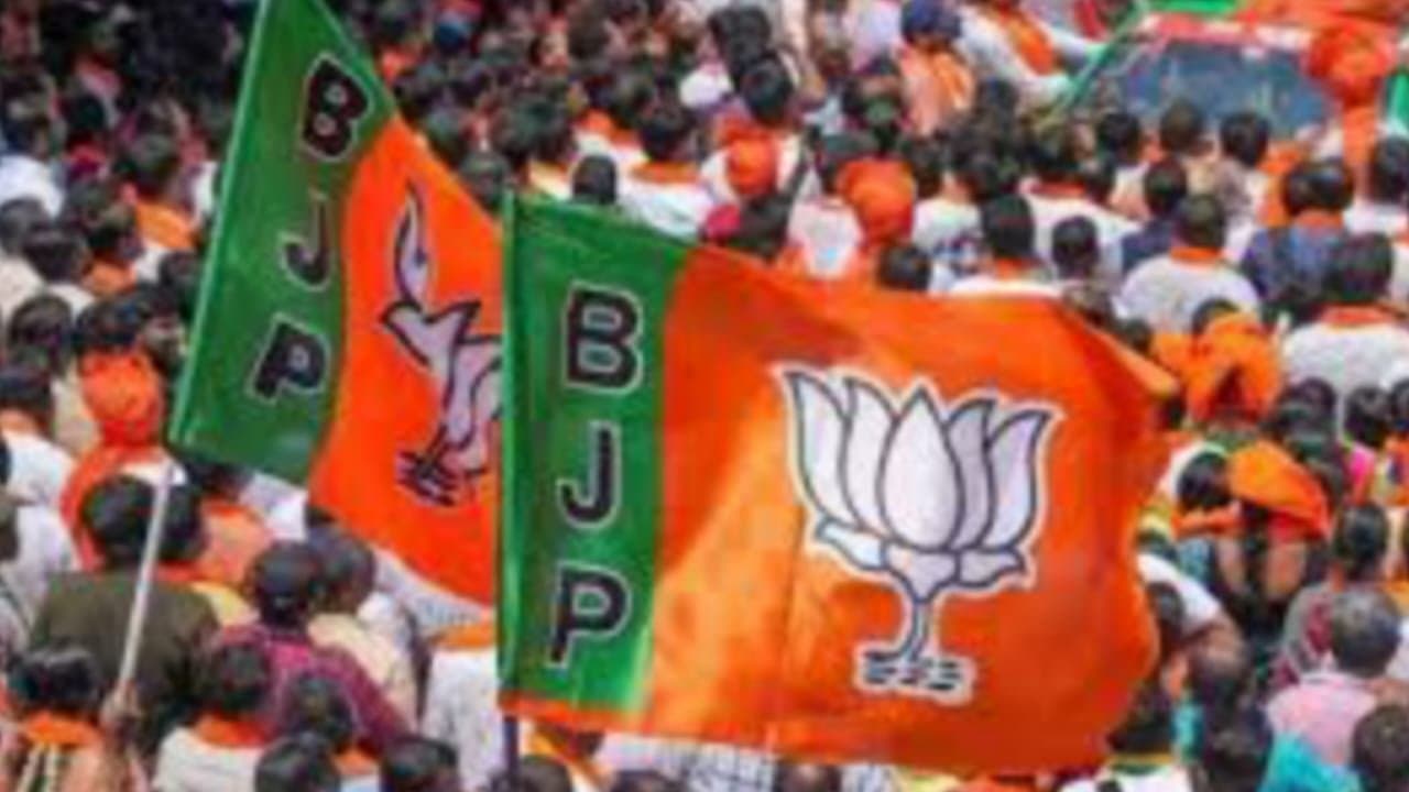 bjp target on 2024 loksabha vote
