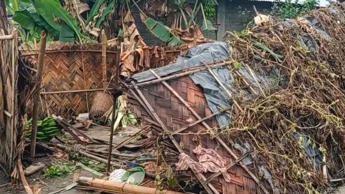 Elephant attacked Four members of the same family including a child were injured while sleeping