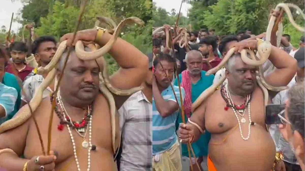 Devotees carry snakes for Nag Panchami fair in Bihar Samastipur