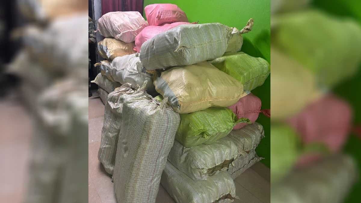 Marijuana worth Rs 1 crore recovered from Howrah  gnr