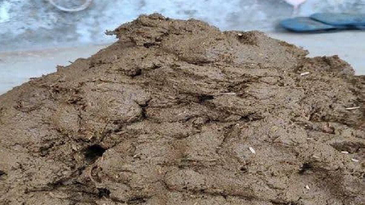 Over ₹ 20 Lakh Cash Found Inside cow dung gnr