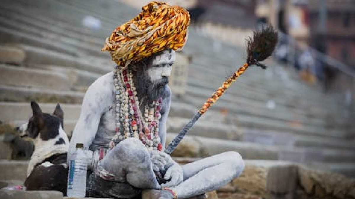 Maha Kumbh Mela 2025 Aghori Sadhus who Appear Only During Kumbh Mela know  About Their Mysterious Life gnr 