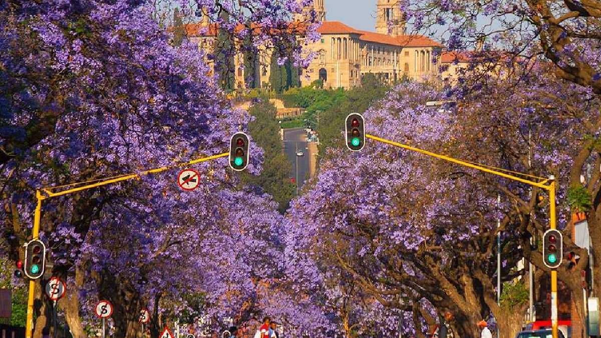 Here list Countries With More Than One Capital 