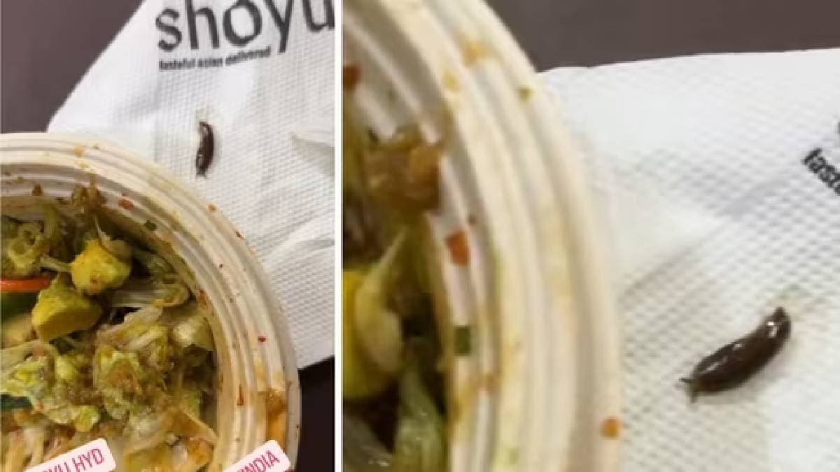 Hyderabad woman finds live snail in salad 