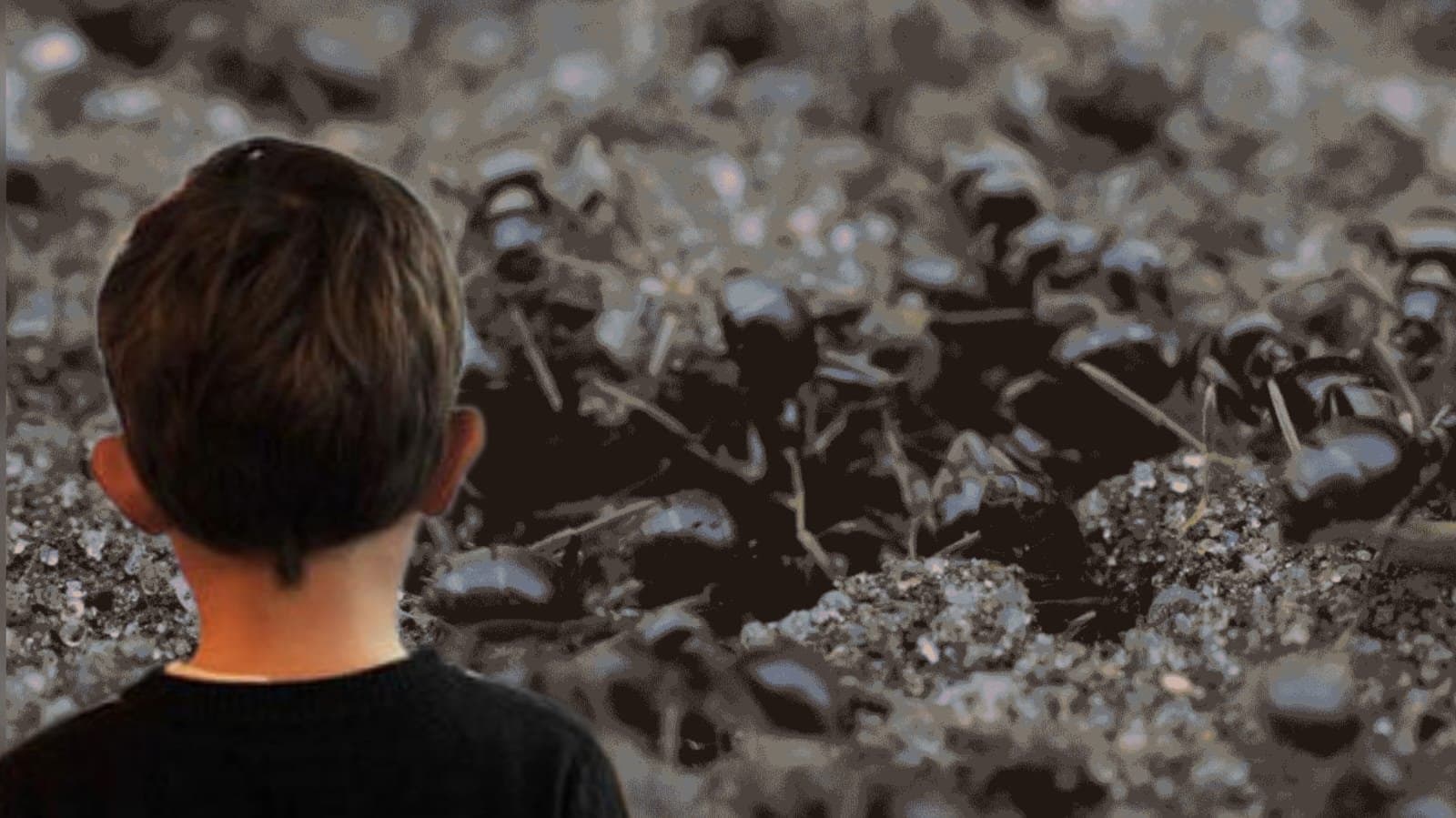 Child thrown on deadly ants in nadia_gnr