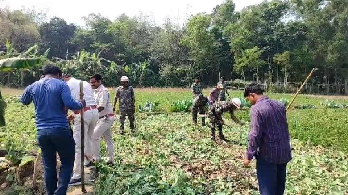 Police Conduct Major Raid on Farmland against Illegal Poppy Cultivation