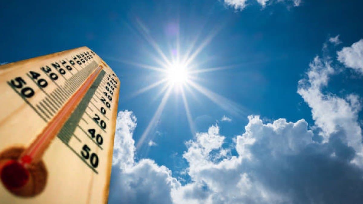 IMD Weather Update heatwave alert in districts rain forecast in northbengal 