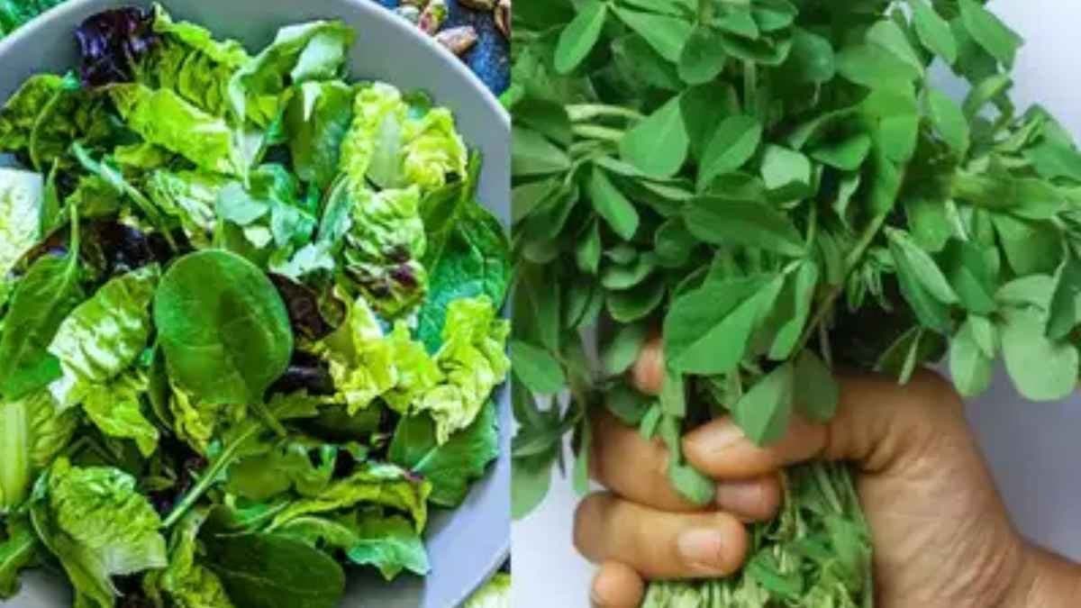Methi leaves have many health benefits including controls blood sugar level and cholesterol level lif 