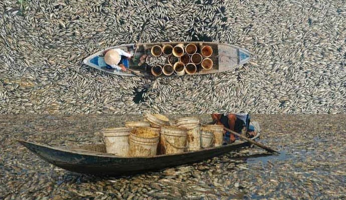 Mass fish die-off in Vietnam as heatwave roasts Southeast Asia