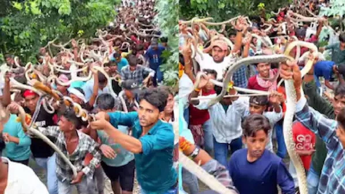 Devotees Carry Live Snakes For Nag Panchami Procession