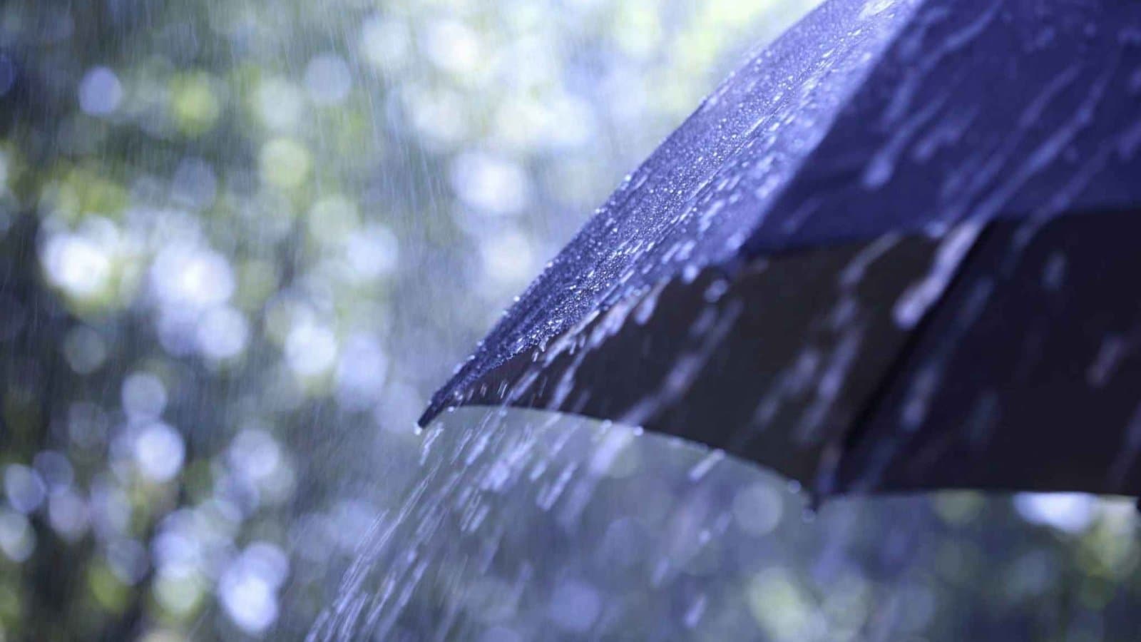 IMD Weather Update Light Rainfall Forecast in several districts in Bengal gnr 